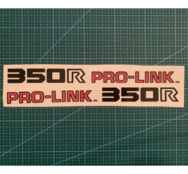 XR R 350 (83) - Pro-Link